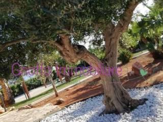 Villa unifamiliare, ottimo stato, 150 m², San Vito Lo Capo — foto 21 di 31