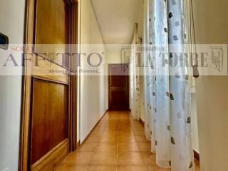 Quadrilocale via Roma, Castellazzo Bormida — foto 18 di 33