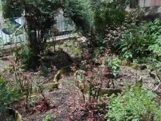 Appartamento piano terra, Polizzi Generosa — foto 4 di 12