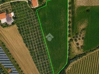 Villa unifamiliare Contrada Colle Santa Maria, Mosciano Sant'Angelo — foto 17 di 23