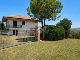 Villa unifamiliare Contrada Colle Santa Maria, Mosciano Sant'Angelo — foto 8 di 23