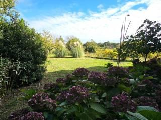 Villa unifamiliare via Ravisa, Castel Giorgio — foto 25 di 35