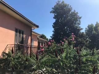 Villa plurifamiliare Strada San Pietro, Nizza Monferrato — foto 2 di 4