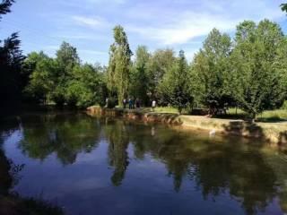 Villa plurifamiliare Strada San Pietro, Nizza Monferrato — foto 3 di 4
