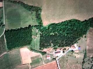 Villa plurifamiliare Strada San Pietro, Nizza Monferrato — foto 4 di 4