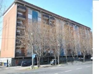 Trilocale viale Po 64, Centro, Crescentino — foto 2 di 6