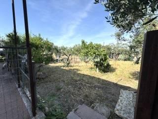 Villa unifamiliare Strada Statale 16 Adriatica, Salice Nuovo, Foggia — foto 6 di 34