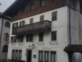 Terratetto unifamiliare via Guglielmo Marconi 4, Centro, Paularo — foto 20 di 20