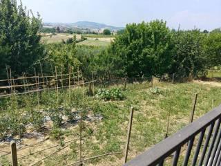 Terratetto unifamiliare Strada Perrona 3A, Calliano — foto 17 di 19