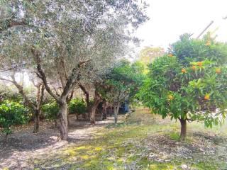 Villa plurifamiliare, buono stato, 355 m², Osimo — foto 32 di 52