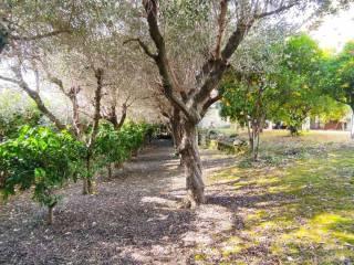 Villa plurifamiliare, buono stato, 355 m², Osimo