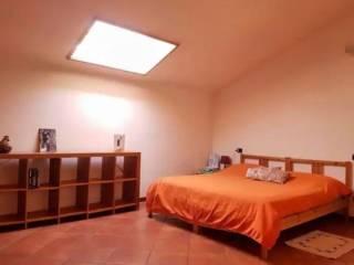 Villa a schiera via di Tarquinia 21, Canino — foto 15 di 16