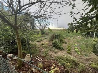 Villa bifamiliare Località Scolo Valdentro 14, Adria — foto 2 di 10