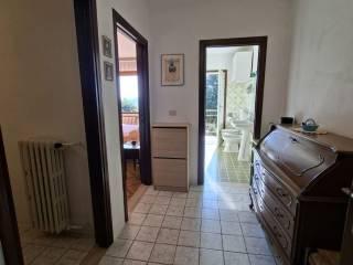 Terratetto unifamiliare Strada Cavicchiolo, Medesano — foto 20 di 28