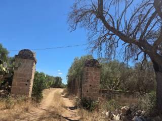 Rustico via Gabriele Manfredi, Porto Cesareo — foto 7 di 16