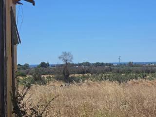 Rustico via Gabriele Manfredi, Porto Cesareo — foto 15 di 16