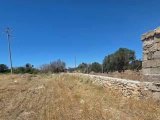 Rustico via Gabriele Manfredi, Porto Cesareo — foto 11 di 16