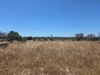 Rustico via Gabriele Manfredi, Porto Cesareo — foto 5 di 16