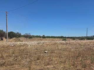 Rustico via Gabriele Manfredi, Porto Cesareo — foto 6 di 16