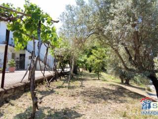 Terratetto unifamiliare via Roma 209, Agnana Calabra — foto 32 di 34