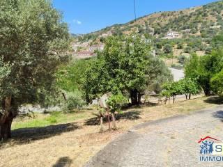 Terratetto unifamiliare via Roma 209, Agnana Calabra — foto 12 di 34
