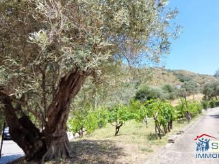 Terratetto unifamiliare via Roma 209, Agnana Calabra — foto 2 di 34