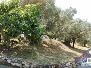 Terratetto unifamiliare via Roma 209, Agnana Calabra — foto 22 di 34
