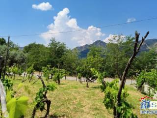 Terratetto unifamiliare via Roma 209, Agnana Calabra — foto 10 di 34