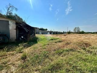 Terratetto unifamiliare via Borgo 46, Borgo, Pontecchio Polesine — foto 7 di 21