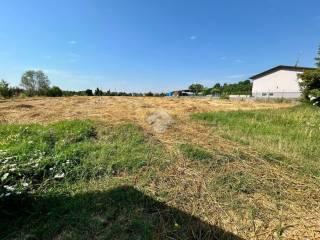 Terratetto unifamiliare via Borgo 46, Borgo, Pontecchio Polesine — foto 3 di 21