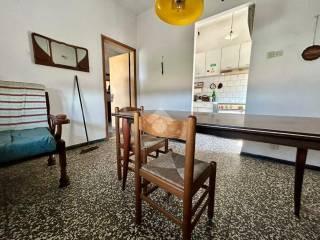 Terratetto unifamiliare via Borgo 46, Borgo, Pontecchio Polesine — foto 21 di 21