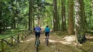 Attico via Forgitelle, Camigliatello Silano, Spezzano della Sila — foto 19 di 20