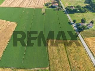 Terratetto unifamiliare frazione Castione dei Marchesi 160, Castione Marchesi, Fidenza — foto 19 di 61