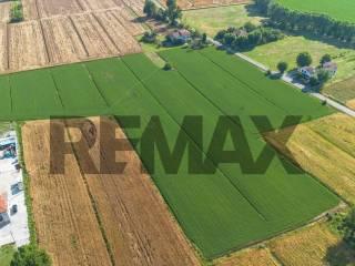 Terratetto unifamiliare frazione Castione dei Marchesi 160, Castione Marchesi, Fidenza — foto 33 di 61