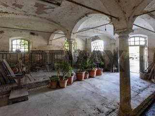Terratetto unifamiliare frazione Castione dei Marchesi 160, Castione Marchesi, Fidenza — foto 32 di 61