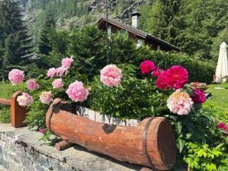 Trilocale Località Edelboden Superiore, Centro, Gressoney-La-Trinitè — foto 17 di 23