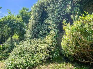 Terratetto unifamiliare via Pastina, Bagnone — foto 11 di 29