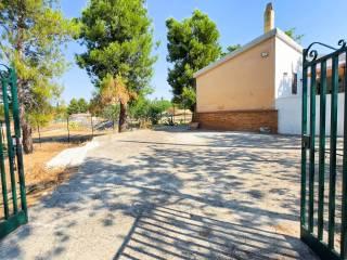 Villa unifamiliare viale delle Orchidee, Montegrosso - Boschetto, Andria — foto 22 di 31