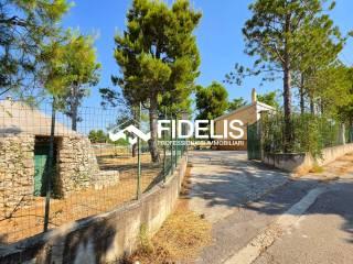 Villa unifamiliare viale delle Orchidee, Montegrosso - Boschetto, Andria — foto 17 di 31
