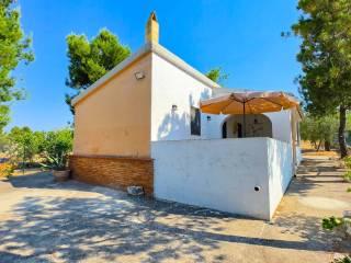 Villa unifamiliare viale delle Orchidee, Montegrosso - Boschetto, Andria — foto 10 di 31