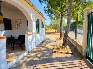 Villa unifamiliare viale delle Orchidee, Montegrosso - Boschetto, Andria — foto 14 di 31