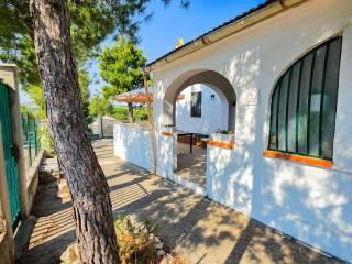 Villa unifamiliare viale delle Orchidee, Montegrosso - Boschetto, Andria — foto 9 di 31