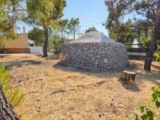 Villa unifamiliare viale delle Orchidee, Montegrosso - Boschetto, Andria — foto 16 di 31