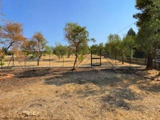 Villa unifamiliare viale delle Orchidee, Montegrosso - Boschetto, Andria — foto 19 di 31
