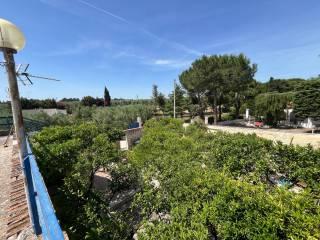 Villa unifamiliare, buono stato, 111 m², Trani — foto 6 di 25