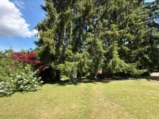 Villa unifamiliare via Provinciale Sud 87, Tornolo — foto 29 di 49