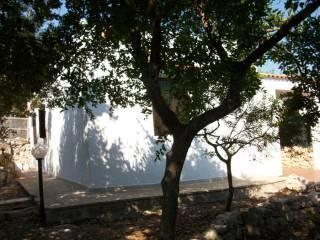 Villa unifamiliare Contrada Macchione, Campanile, Fumarola, Cavalleriza, Ostuni — foto 5 di 25