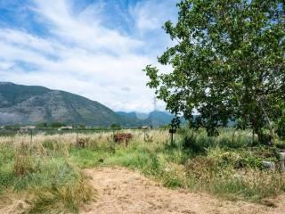 Rustico Strada Tisi, Centro, Venafro — foto 12 di 39