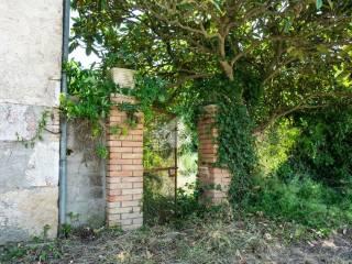 Rustico Strada Tisi, Centro, Venafro — foto 33 di 39