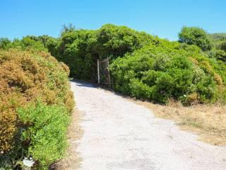 Villa unifamiliare Strada Statale Castelsardo, Castelsardo — foto 21 di 126